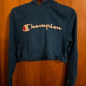 champion hoodie cropped